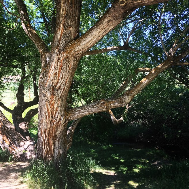 8A1571C9-8745-4D56-BFE5-0DE0817AA713